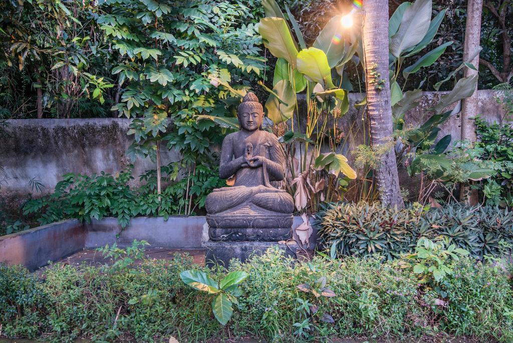 Stunning Villa Lily Lovina  Ngoại thất bức ảnh